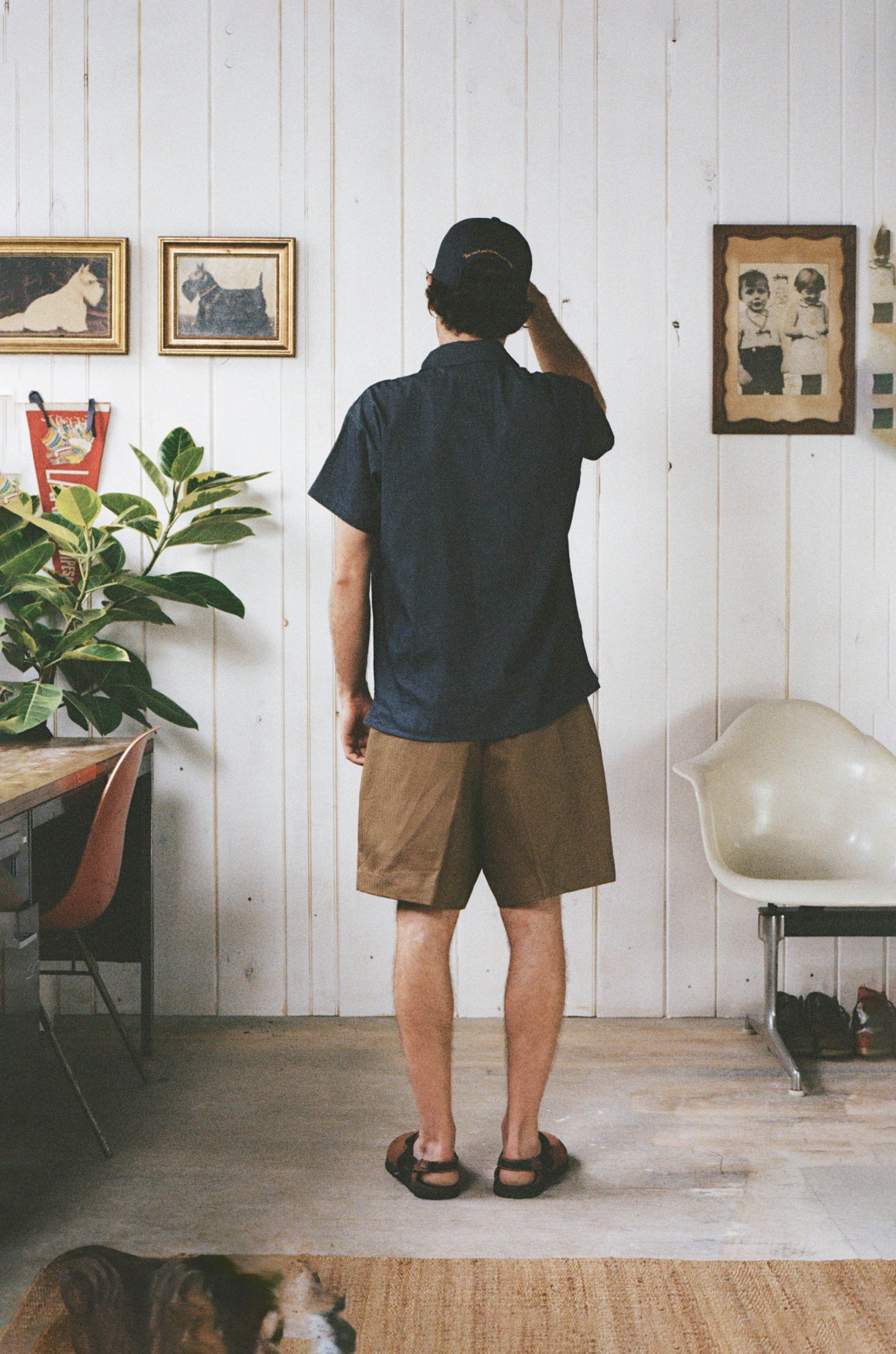 The Saybrook Short