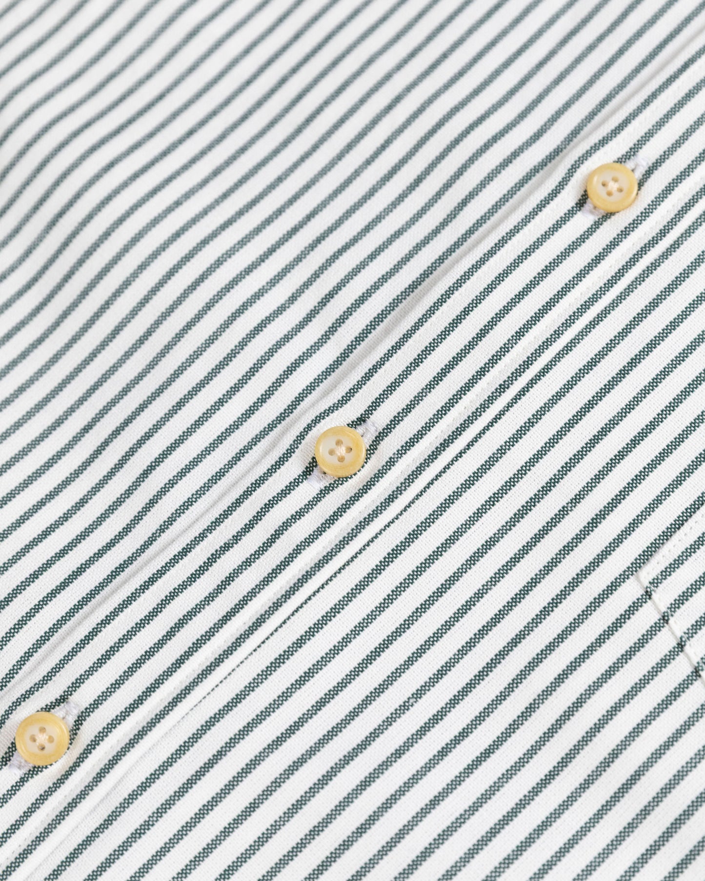 The Yale Shirt in Forest Stripe